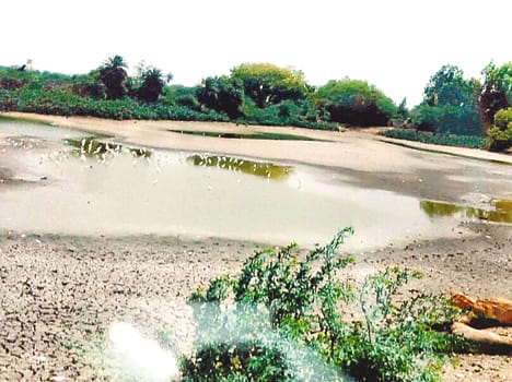 Blow dry to fish farmers