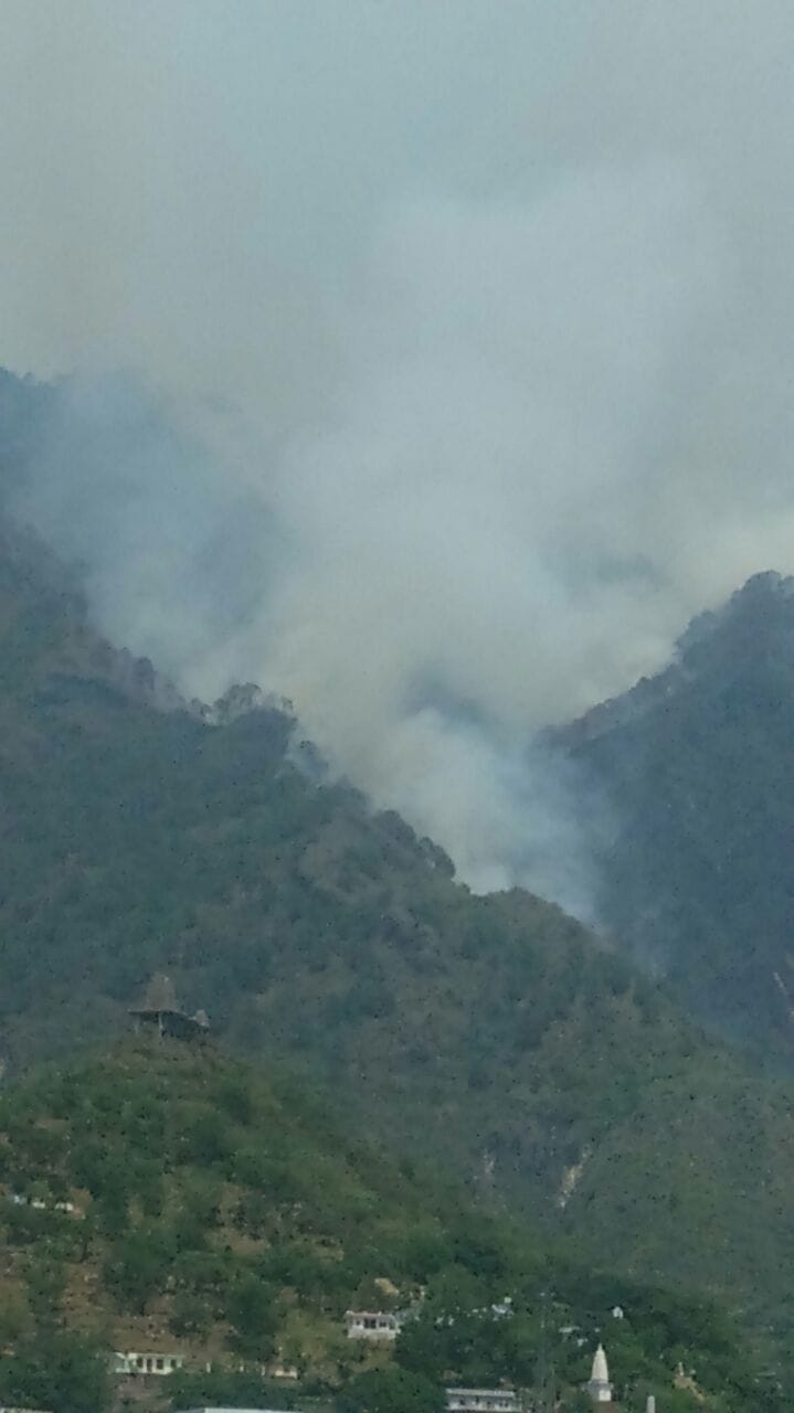 fire engulfs large forest area near vaishno devi 
