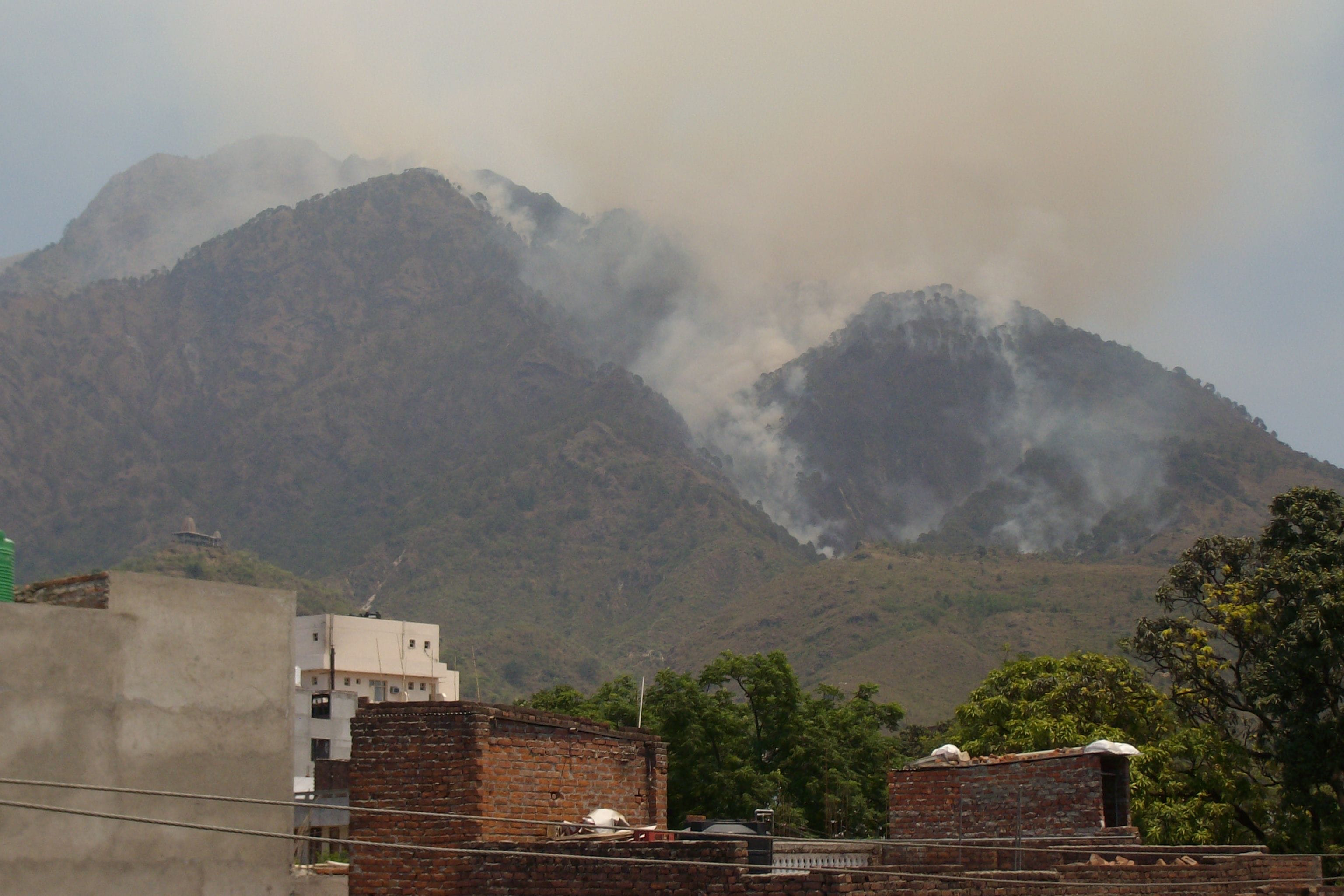 fire engulfs large forest area near vaishno devi 