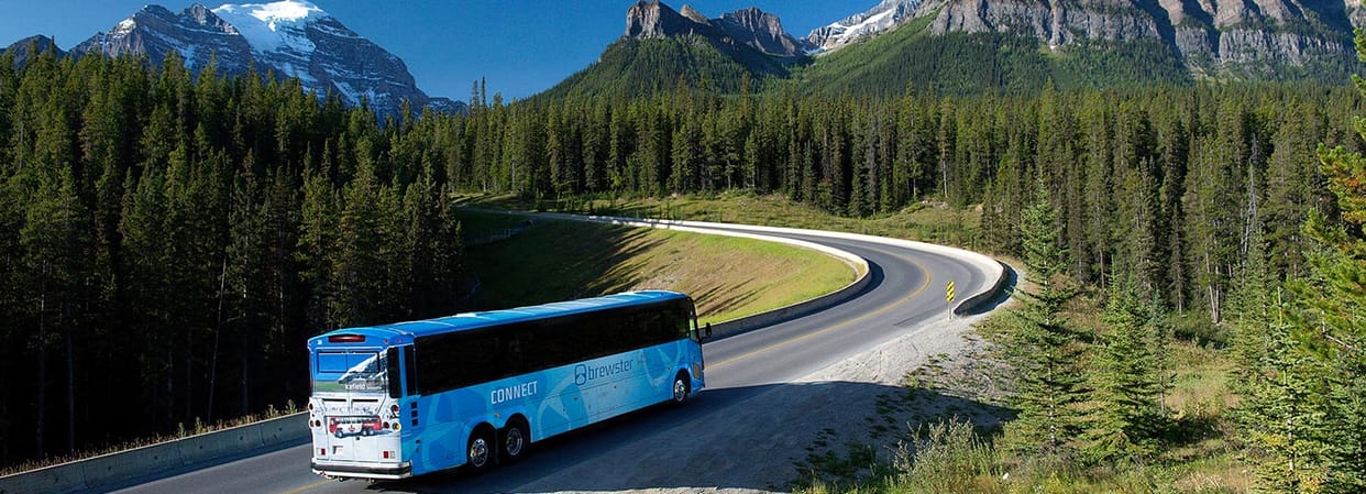 Bus service in summer vacation