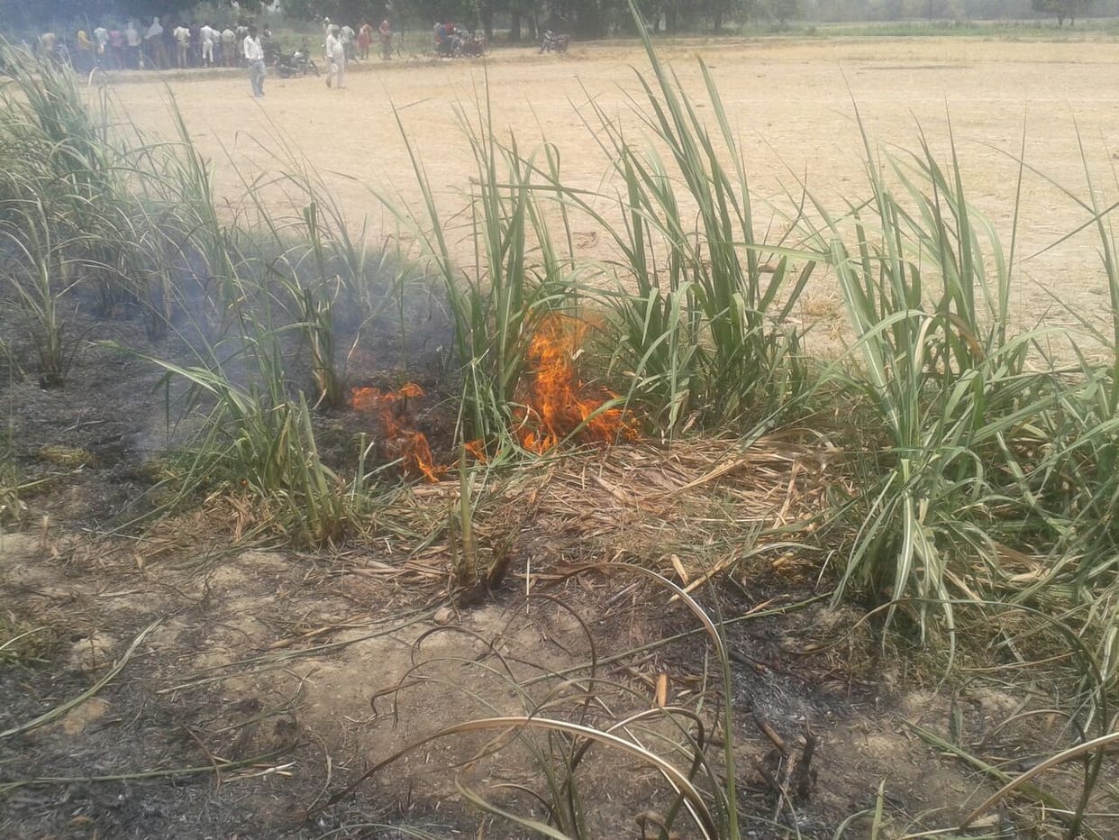 Farmers are not at increased rain