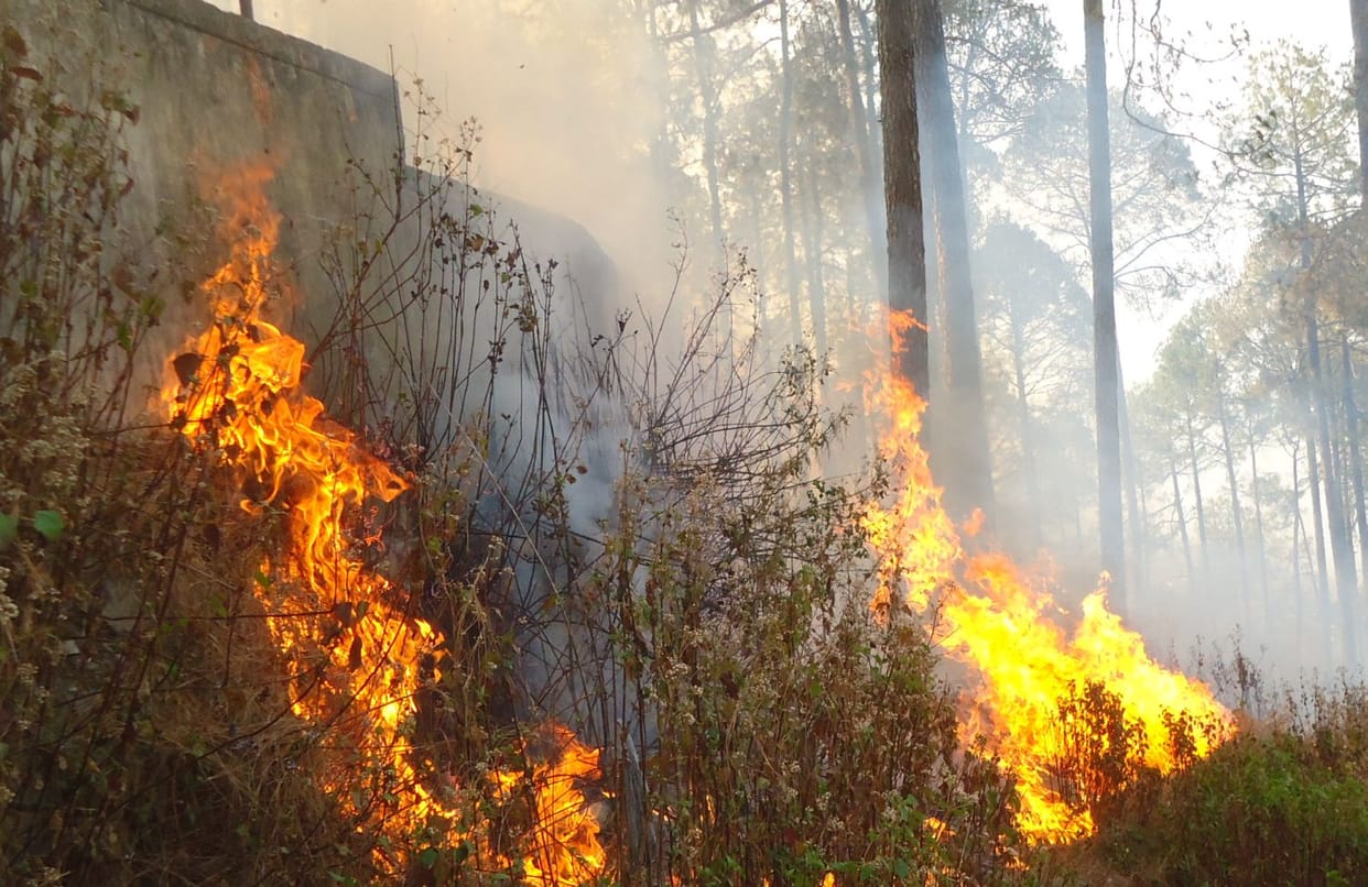 fire in corbett park