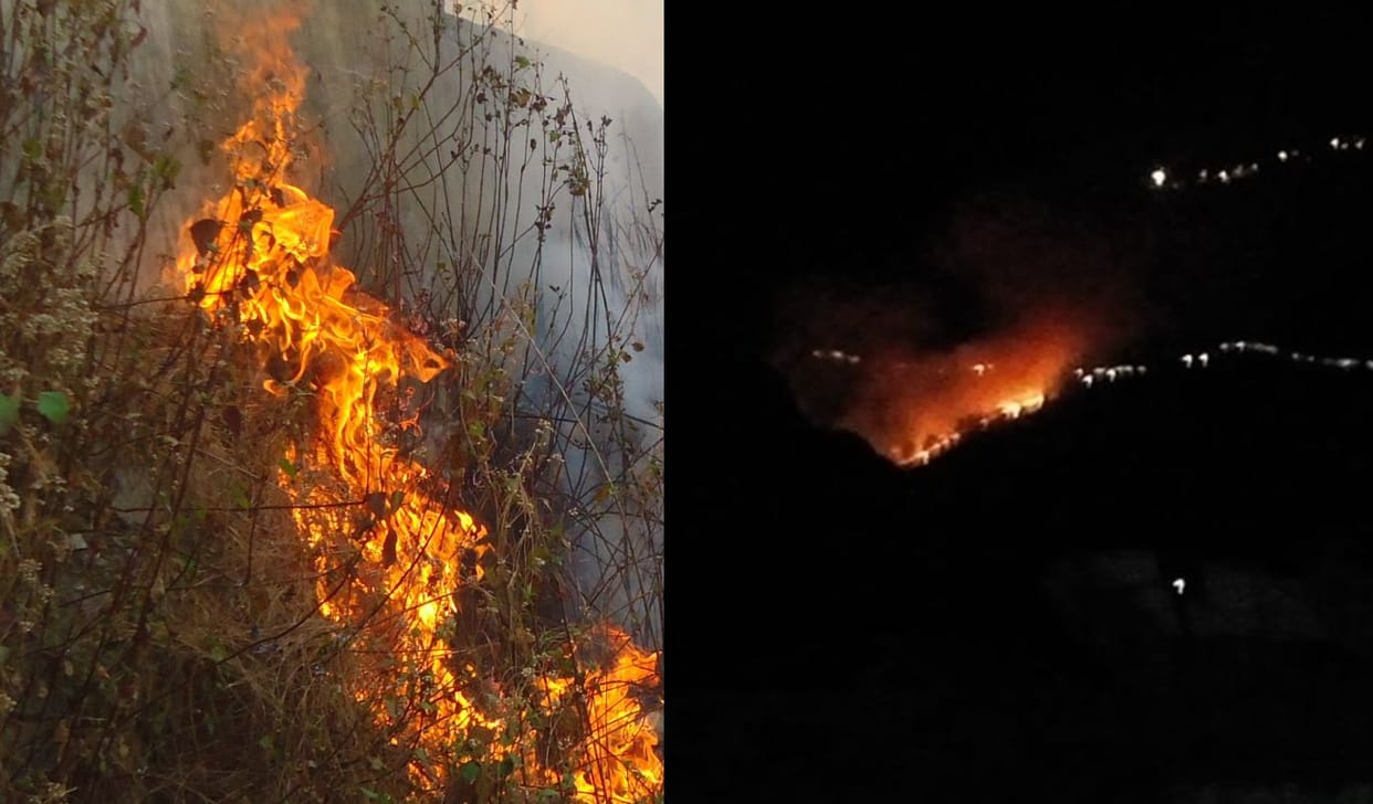 fire in uttarkhand forest agian.