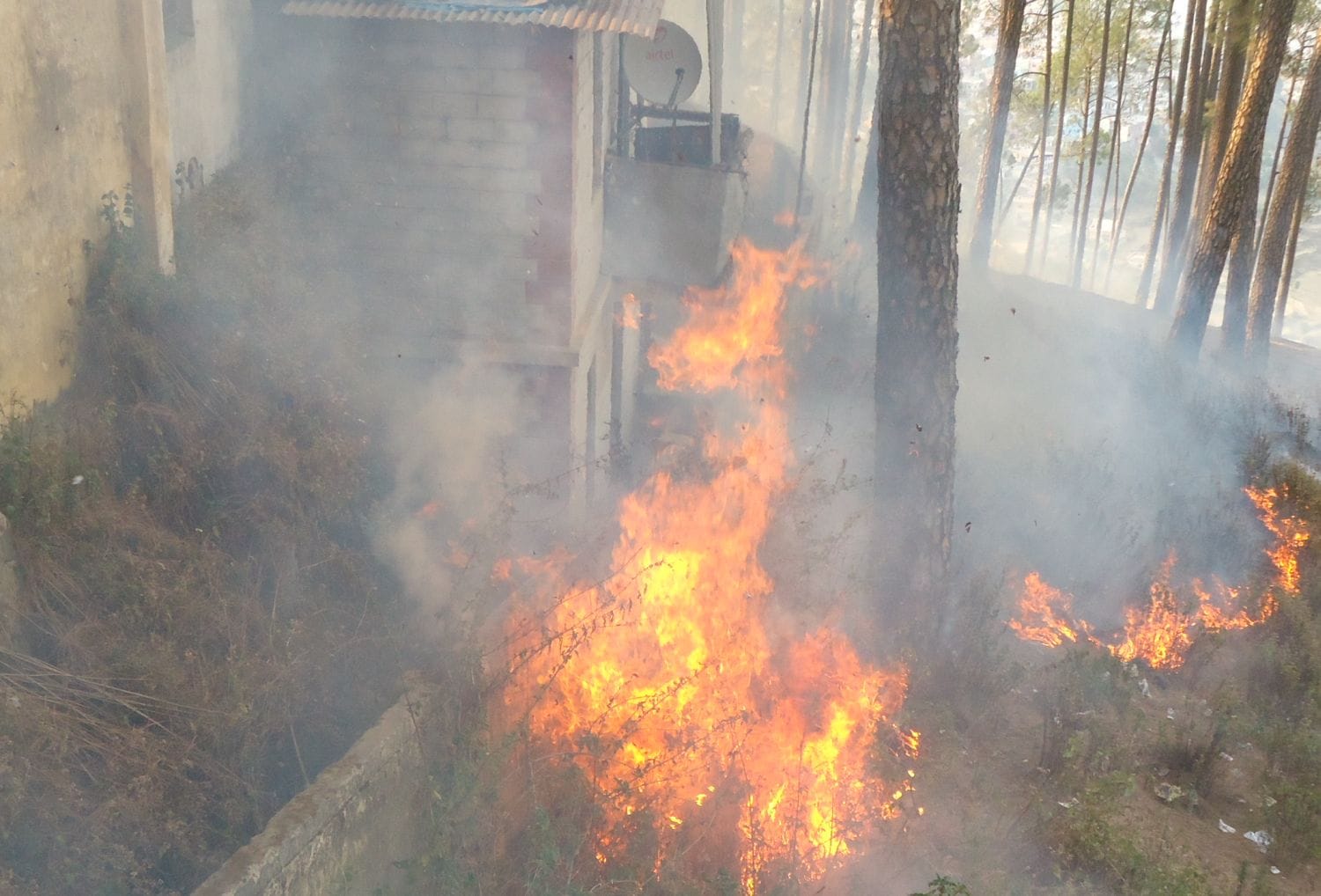 fire in uttarkhand forest agian.