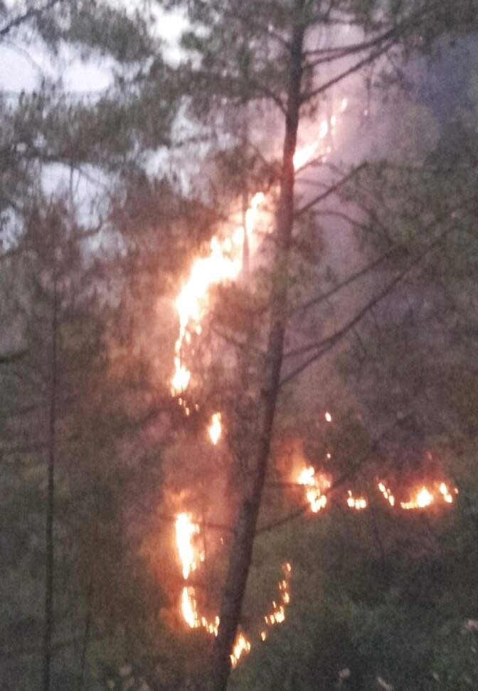 fire in uttarkhand forest agian.