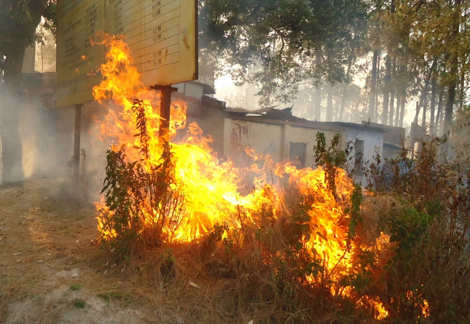 fire in uttarkhand forest agian.