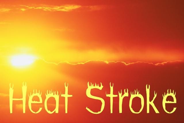 The elderly woman died from heat