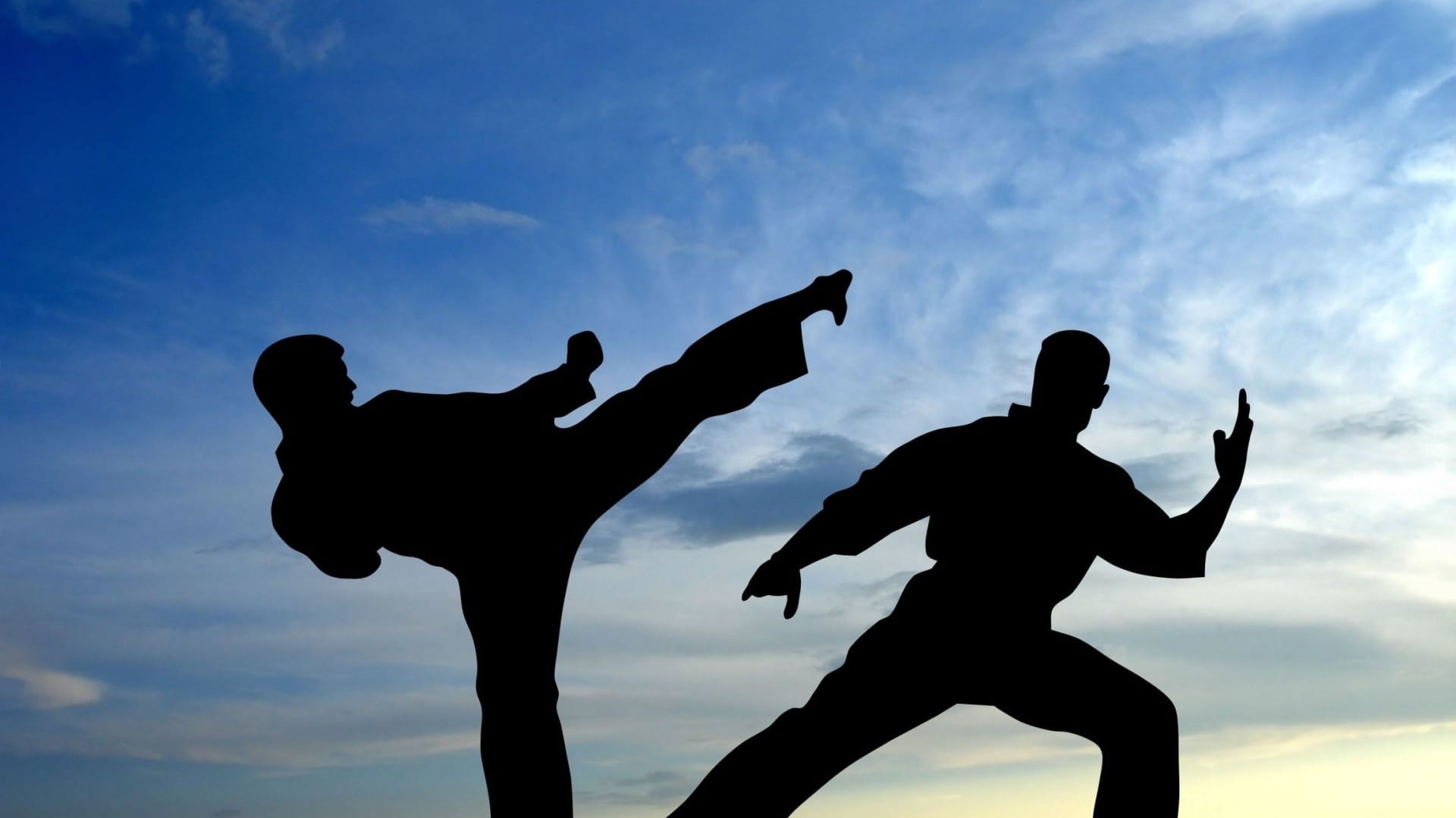 judo karate training in school.