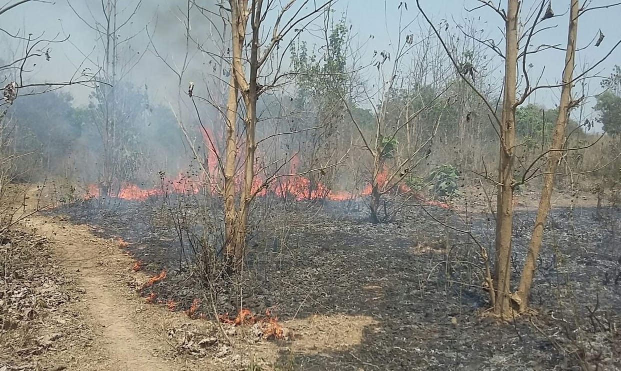forest of Khanpur range caught fire, spread across hundred of acre.