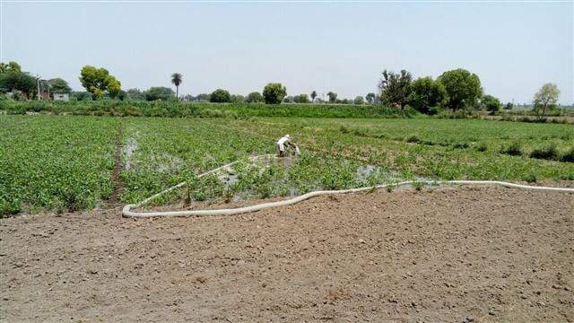 Dbgani ! Drinking water , irrigating crops