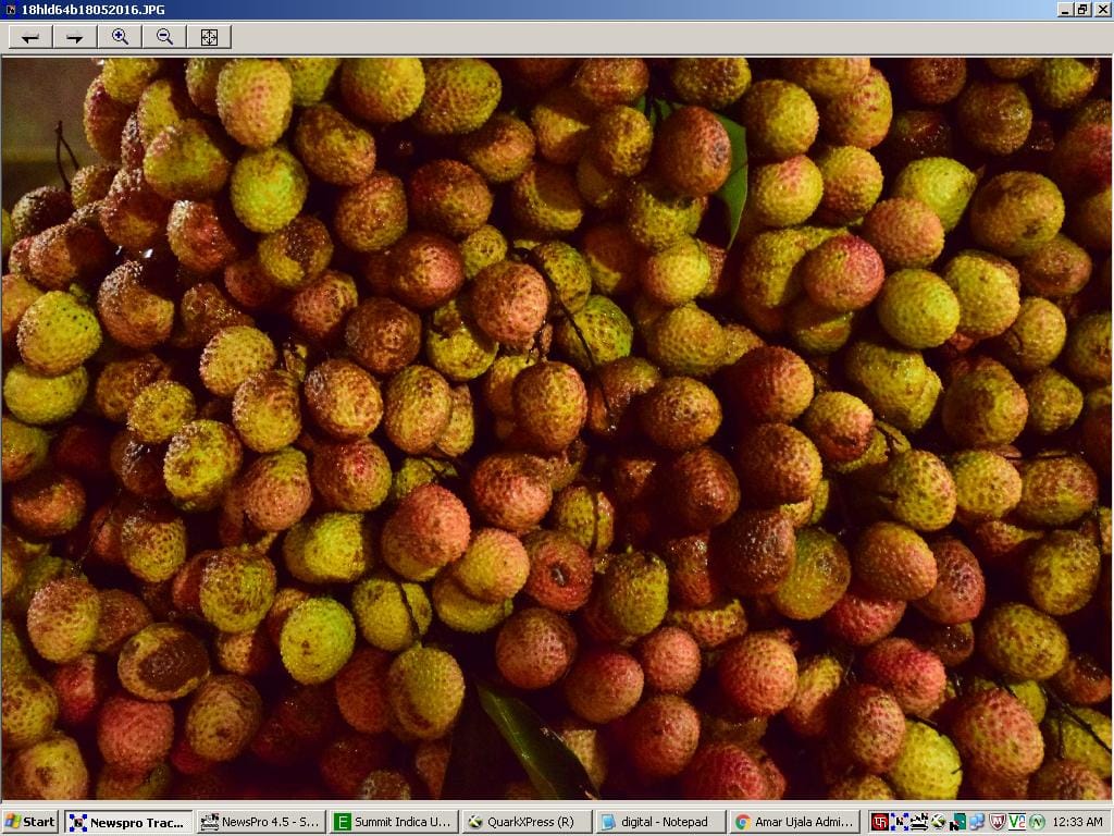 Now take the peaches, Plm and enjoy Khumani