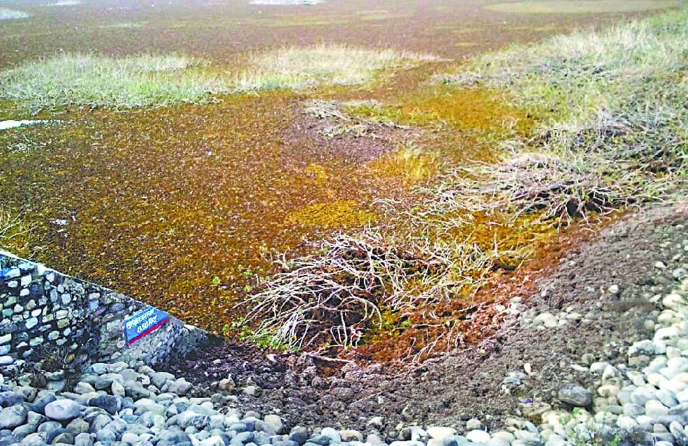 Tumdia dam will dry after four days 