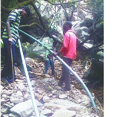 Bilek began relief work in