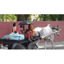 weather, hisar weather, hot weather in hisar, hisar hot, hot hisar, hisar, haryana
