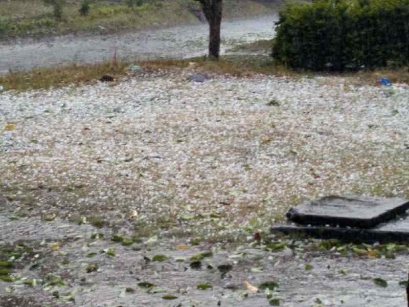 heavy rain, weather, pathankot