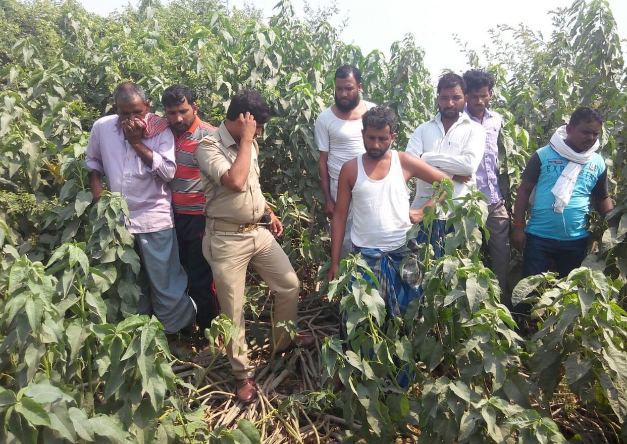 The body of the murdered young man thrown into bushes