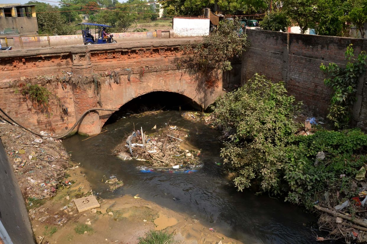  Kashi suffer hell