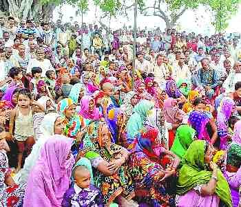 Delete the illegal occupation on government land