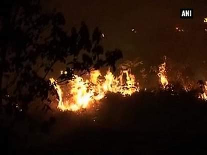 Forest fire rages on, situation not under control 