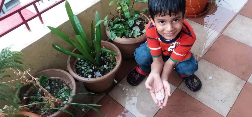 bhiwani news, farmers, hailstorm, fall