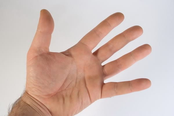 palmistry life line meaning