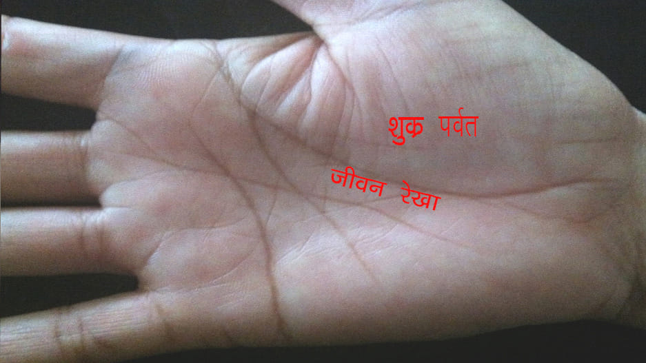 palmistry life line meaning