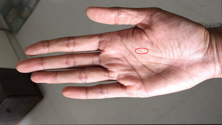 palmistry life line meaning