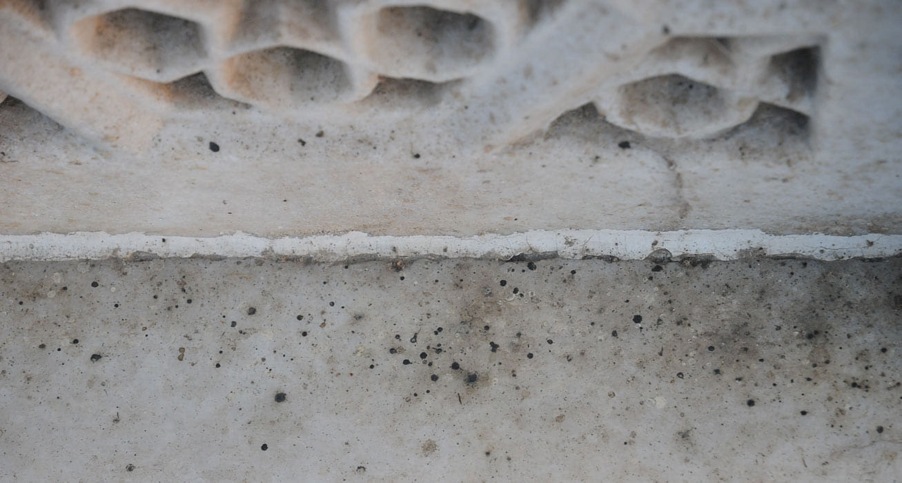 Taj Mahal's infestation increased, endangered his beauty.
