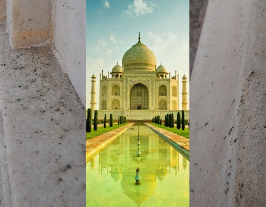 Taj Mahal's infestation increased, endangered his beauty.