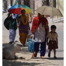 weather, electricity problem, weather in hisar, electricity problem in hisar, Hisar, Haryana