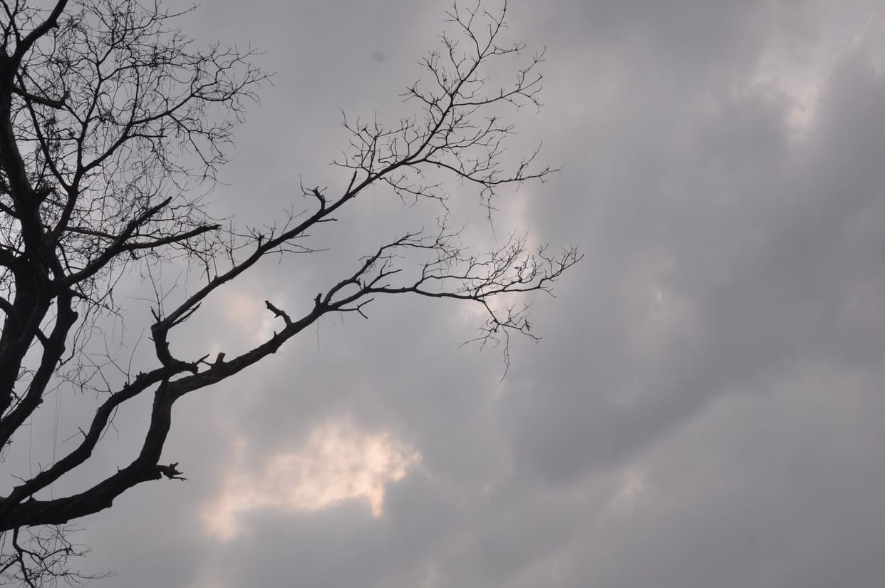 Purvanchal also affected with 'Raanu'
