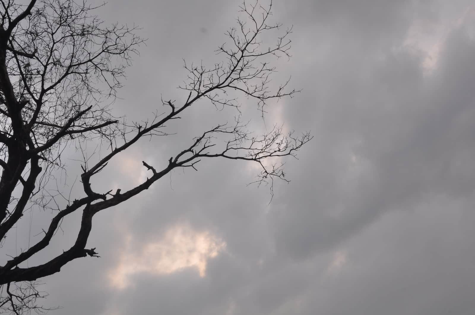 Meteorological Department warns of rain all cities of UP