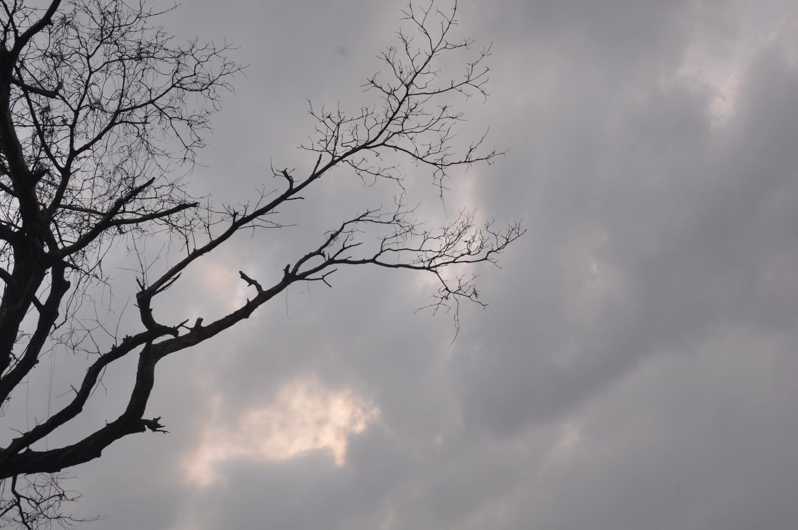 Meteorological Department warns of rain all cities of UP