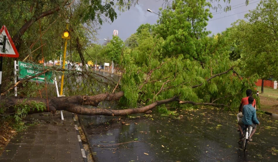 black out in chandigarh due to heavy Dust storms and rain