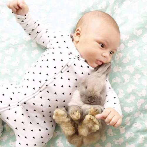 adorable friendship between a baby and rabbits