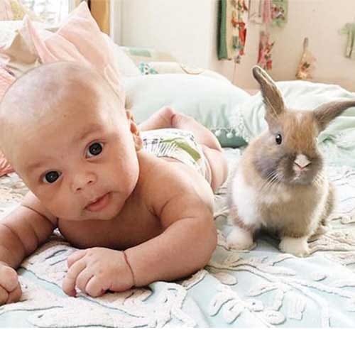 adorable friendship between a baby and rabbits