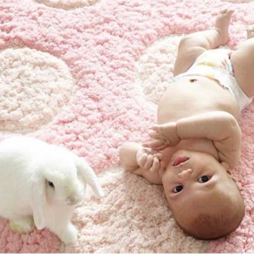 adorable friendship between a baby and rabbits