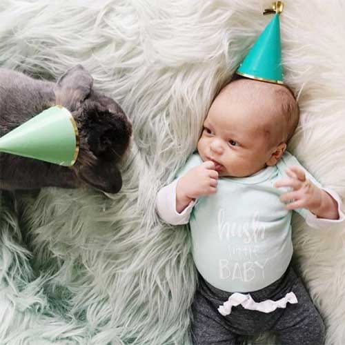 adorable friendship between a baby and rabbits