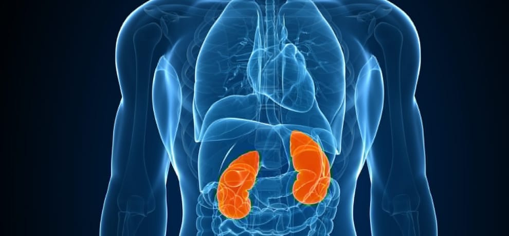 Drink a lot of water to remove kidney stone problem.