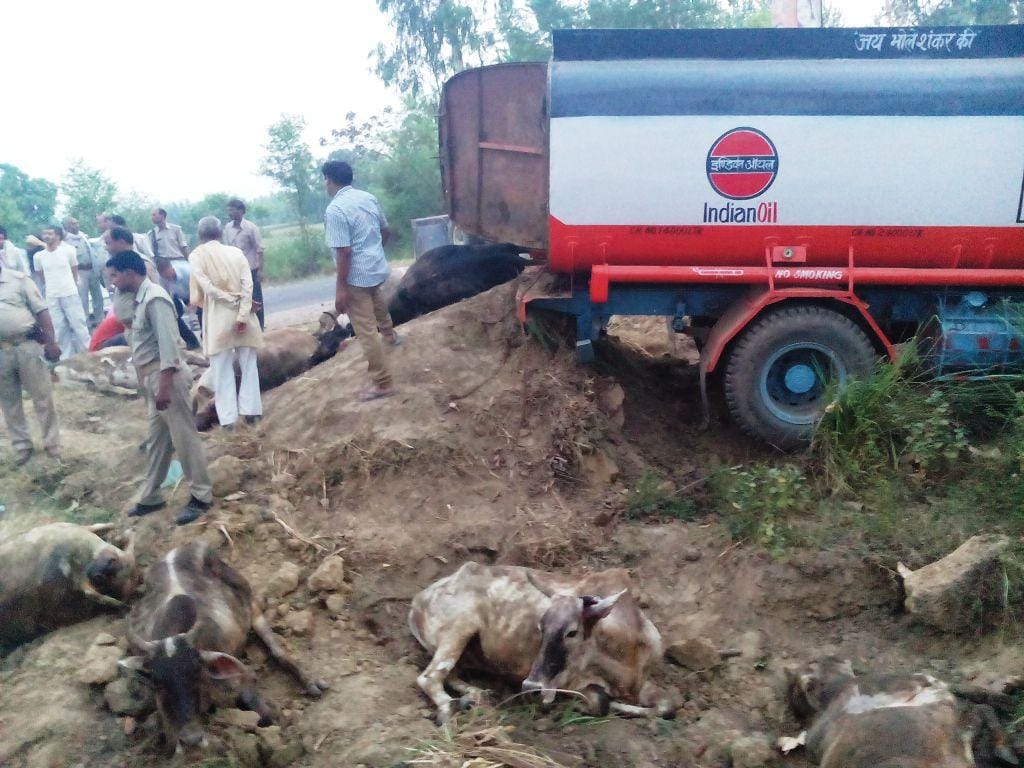 animal smuggling route of ramjanki path