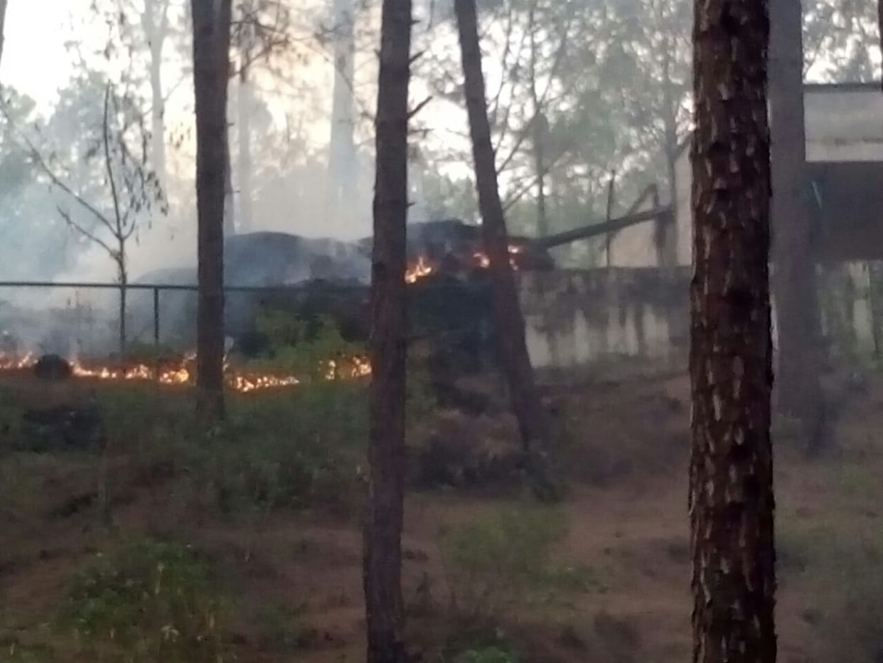 fire in Rajouri forest