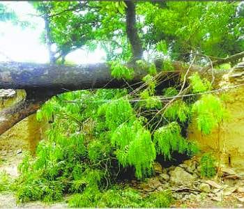 Thunderstorm disrupted normal life