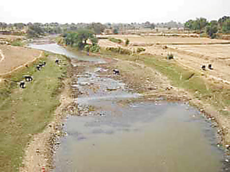 On the verge of drying river Sengur