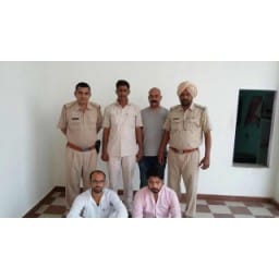 fatehabad, hindi news, crime, election