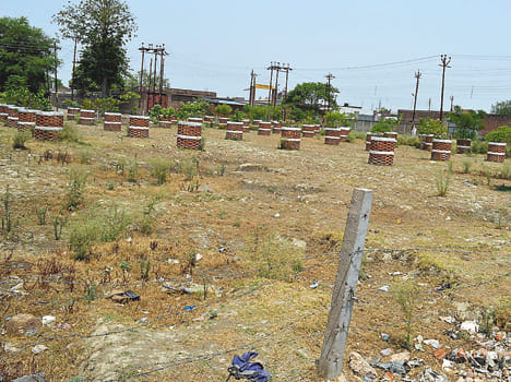  Greenery disappeared from parks