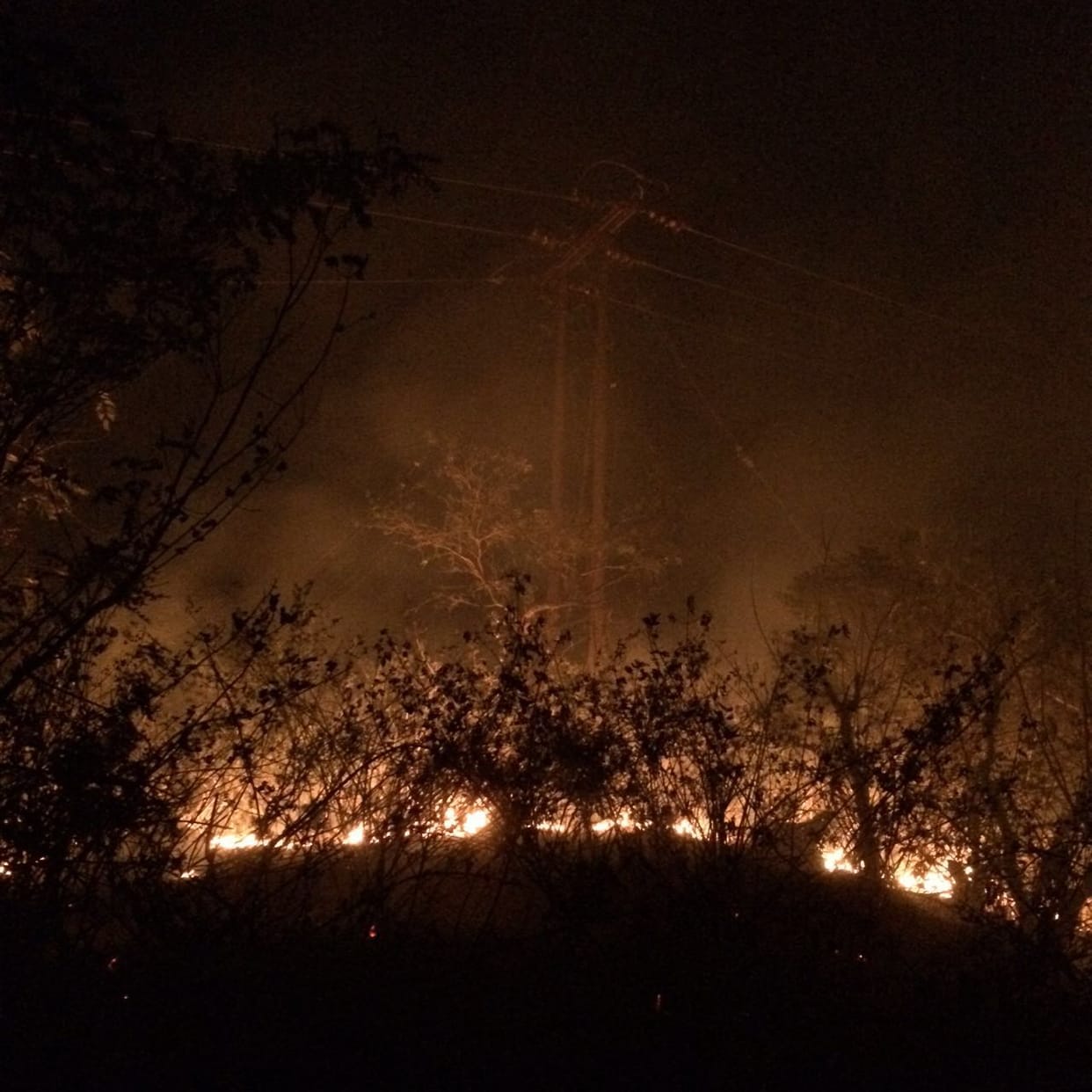 heat and strong winds disrupted putting in fire fighting
