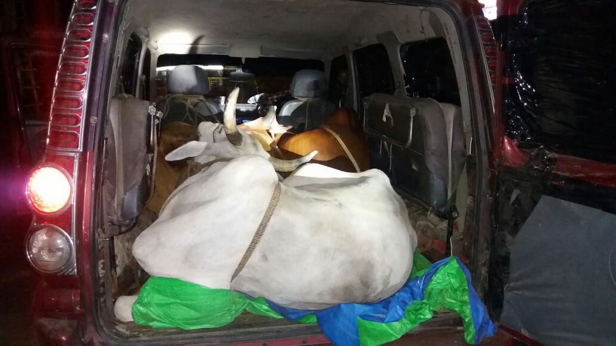 fire on police, two arrested