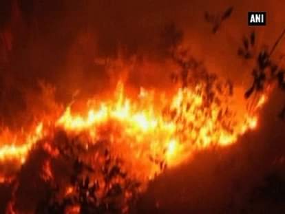 Rising temperature, dry spells leads to another forest fire in Uttarakhand