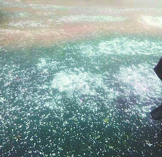Hail Namti Chetabgd massive destruction of fruit and vegetable sector