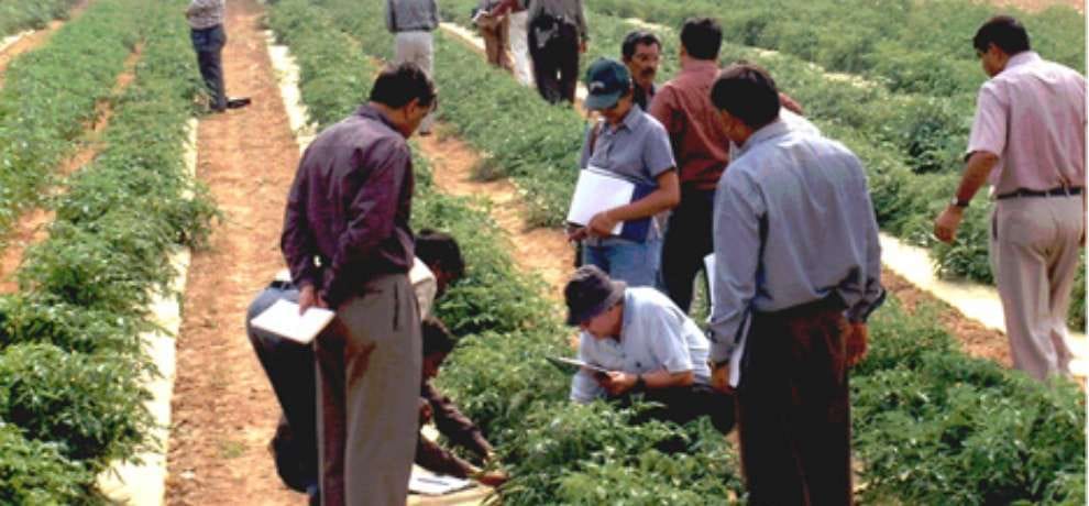horticulture training to 16 thousand farmers in himachal